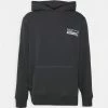 AllSaints ALNA HOODY - Sweatshirt - Washed Black -AllSaintsSales 3b014d564f8a4a4d8d7c23ad7c33981c