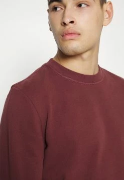 AllSaints RAVEN CREW - Sweatshirt - Damson Red -AllSaintsSales e8a76211dcf14db69f486d23b28777f4